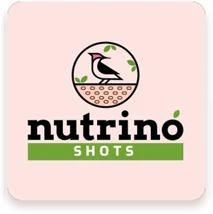 Second Main Right Banner Slider 2